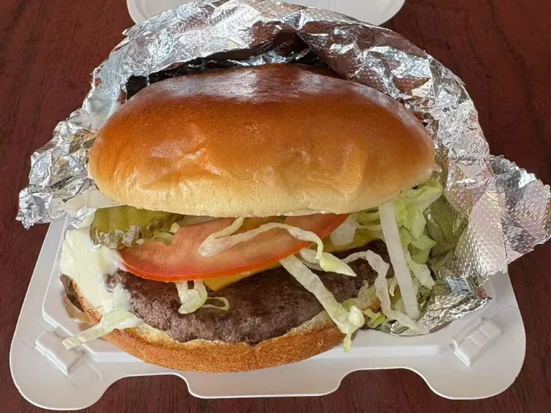 Cheese Burger Only at Tiktok Wings, a Fast Food Restaurant in Syracuse